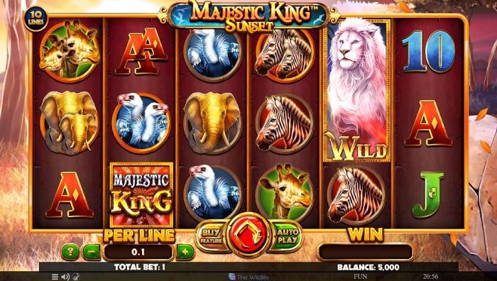 Majestic Wins Await You at Weiss Casino pic 2