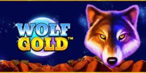 Howls of Fortune: Exploring the Wild Thrills of Wolf Gold at Captain Cooks Casino